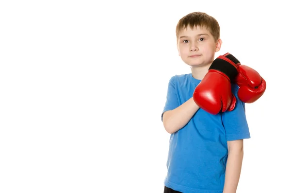 Niño pequeño con guantes de boxeo sobre fondo blanco — Foto de Stock