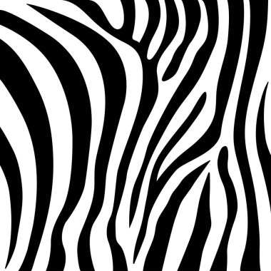 Zebra pürüzsüz desen, vektör tasarımı ve izole edilmiş arka plan pürüzsüz.