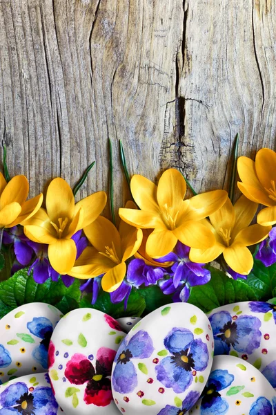 Easter eggs with crocuses — Stock Photo, Image