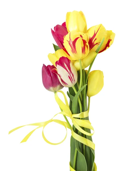 Bouquet di tulipani con nastro di raso isolato su fondo bianco Foto Stock