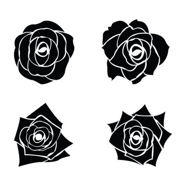 Siyah gül kümesi silüeti