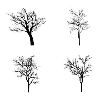 Ağaçlar ölü dallar