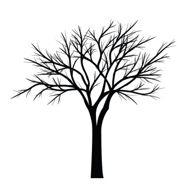 Ağaçlar ölü dallar