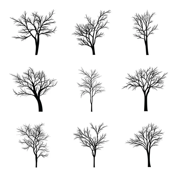 Arbres aux branches mortes — Image vectorielle