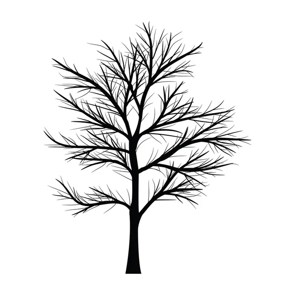 Trees with dead branches — Stock Vector