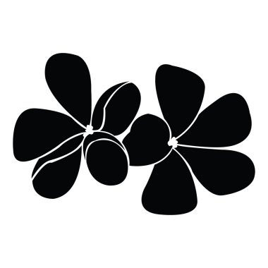 Frangipani siluet tasarlamak vektör için