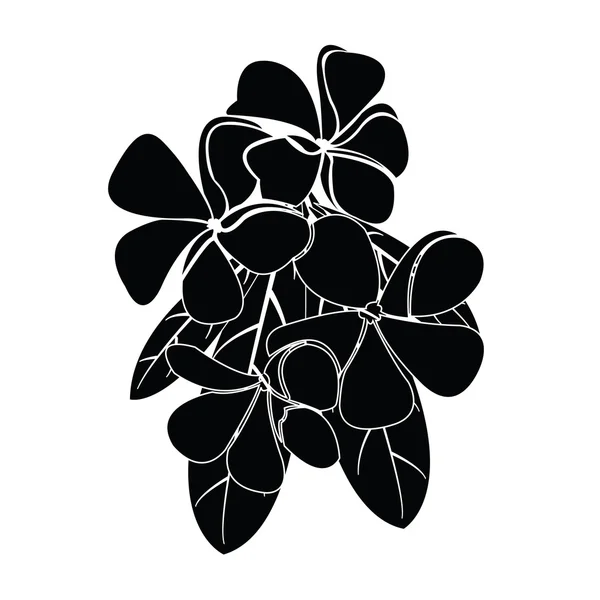 Σιλουέτες frangipani για σχεδιασμό διάνυσμα — Διανυσματικό Αρχείο
