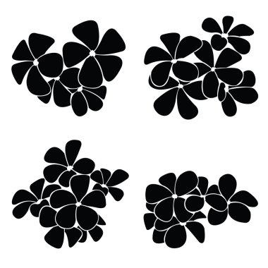 Frangipani siluet tasarlamak vektör için