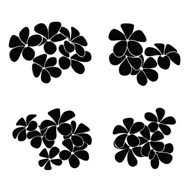 Frangipani siluet tasarlamak vektör için
