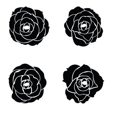 Siyah gül kümesi silüeti