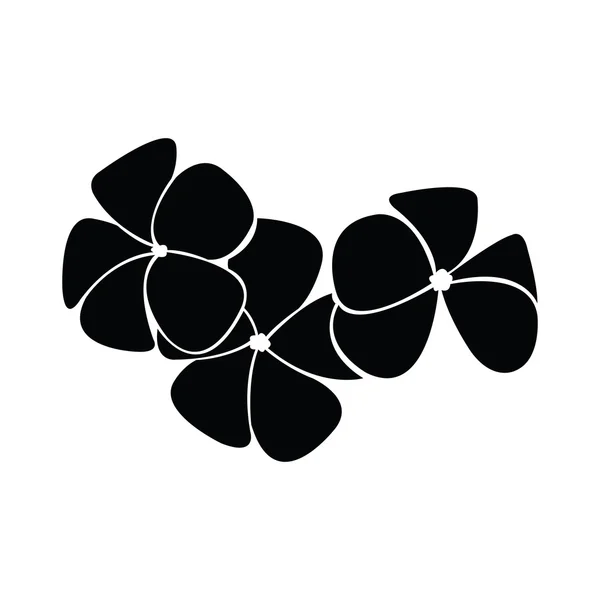 Frangipani silhouetten voor ontwerp vector — Stockvector