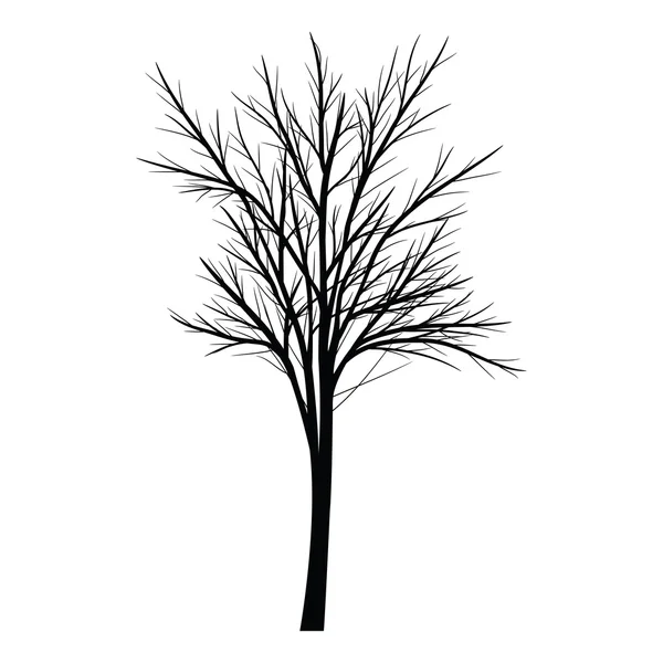 Arbres aux branches mortes — Image vectorielle