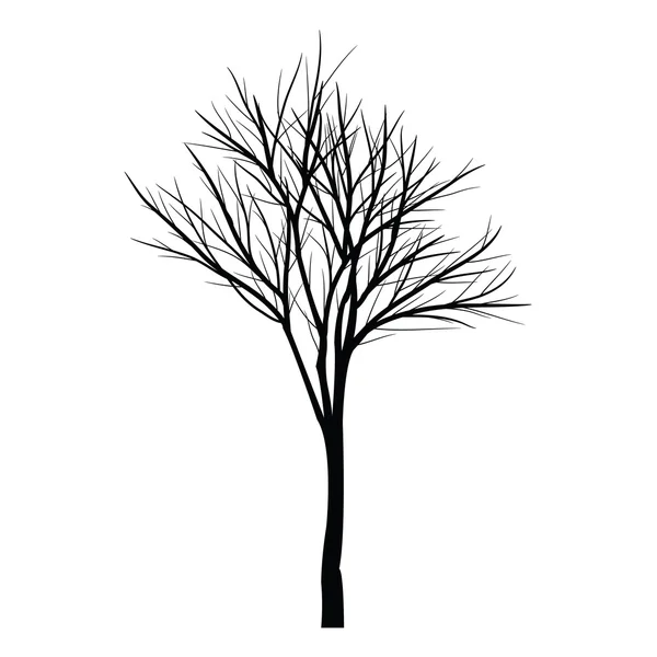 Arbres aux branches mortes — Image vectorielle