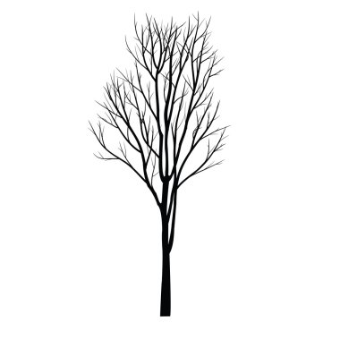 Trees with dead branch clipart