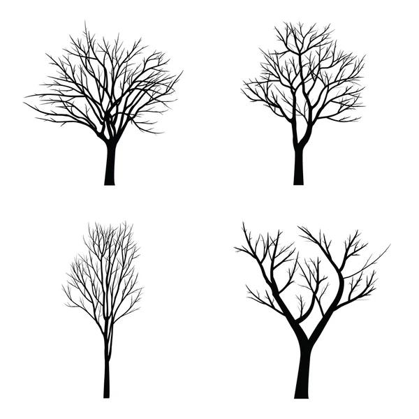 Trees with dead branch — Stock Vector