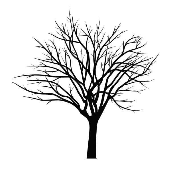 Bomen met dead branch — Stockvector