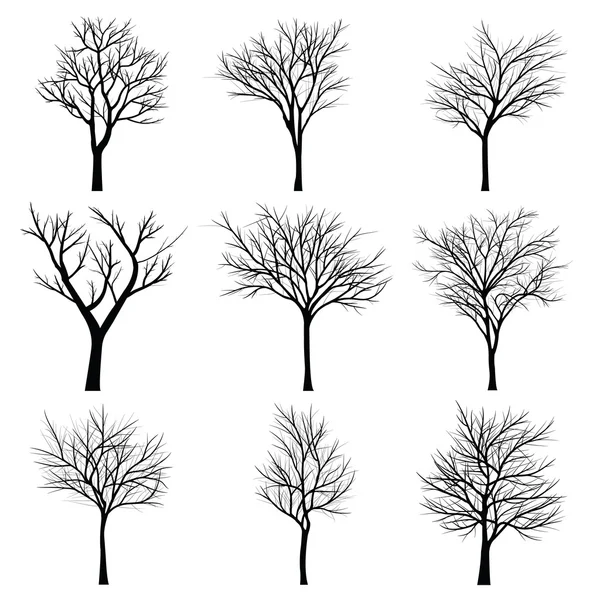 Bomen met dead branch — Stockvector