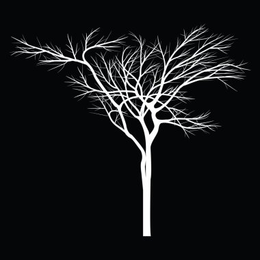 Ağaçları ile ölü şube