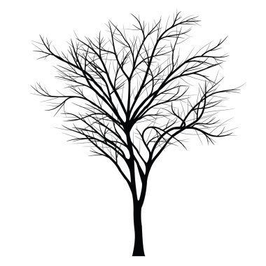 Ağaçları ile ölü şube