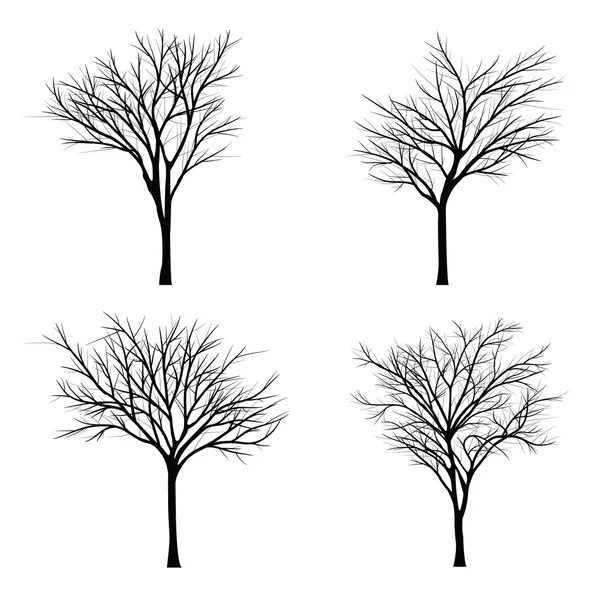 Trees with dead branch — Stock Vector