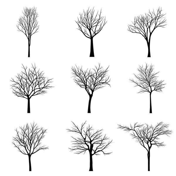 Arbres à branche morte — Image vectorielle