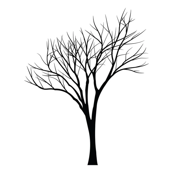 Bomen met dead branch — Stockvector