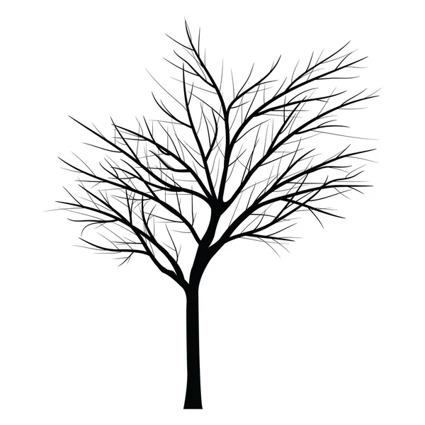 Trees with dead branch — Stock Vector