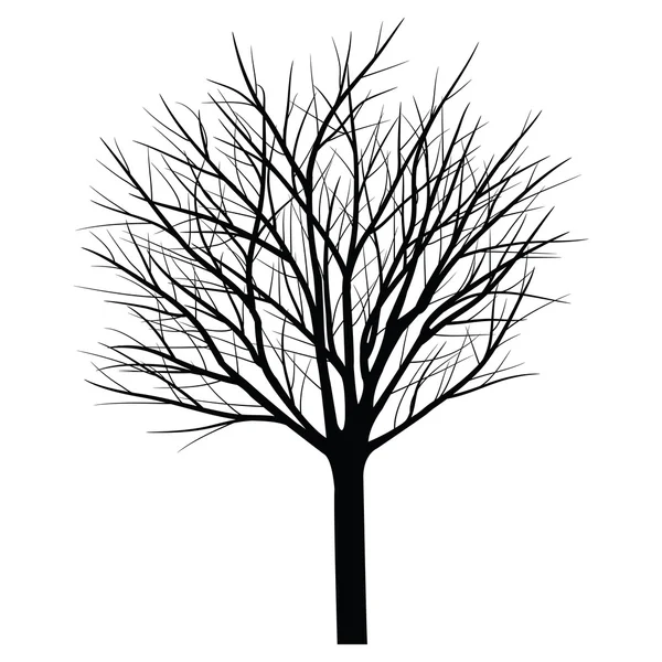 Bomen met dead branch — Stockvector