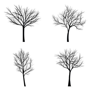 Ağaçları ile ölü şube