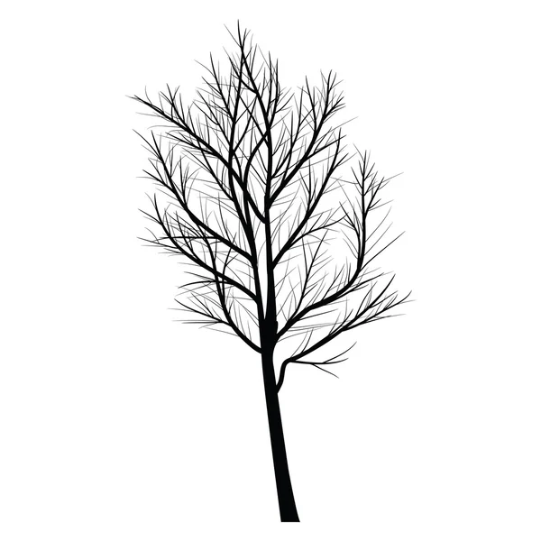 Bomen met dead branch — Stockvector