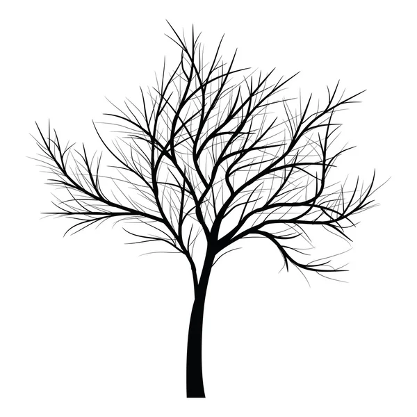 Trees with dead branch — Stock Vector