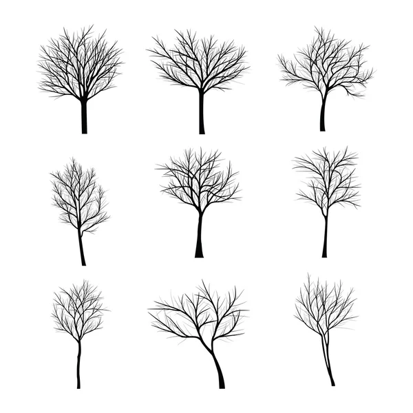 Trees with dead branch — Stock Illustration Trees with dead branch Stock Illustration