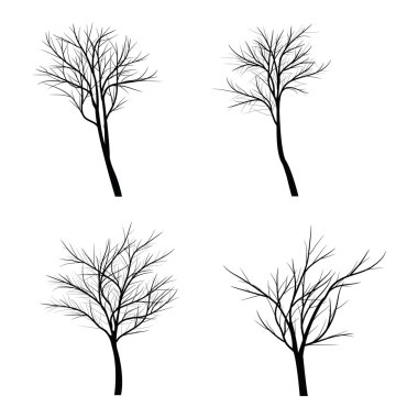 Ağaçları ile ölü şube