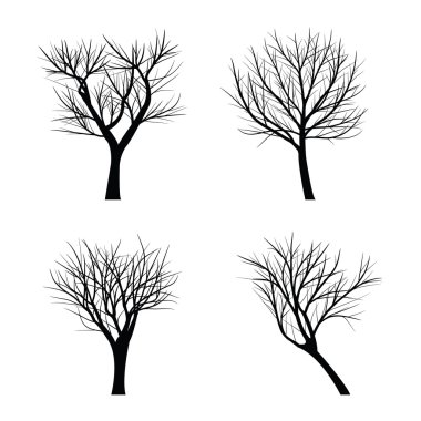 Ağaçları ile ölü şube