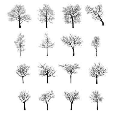 Ağaçları ile ölü şube