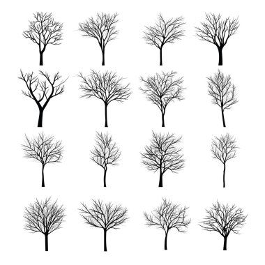 Ağaçları ile ölü şube