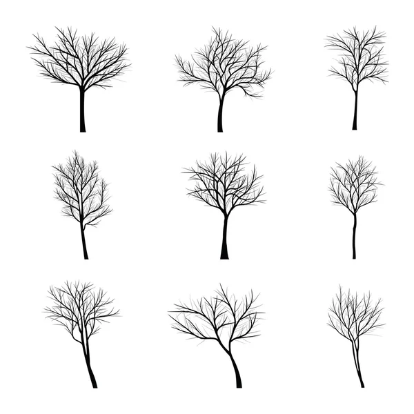 Árboles con rama muerta — Vector de stock