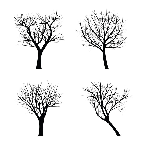 Trees with dead branch