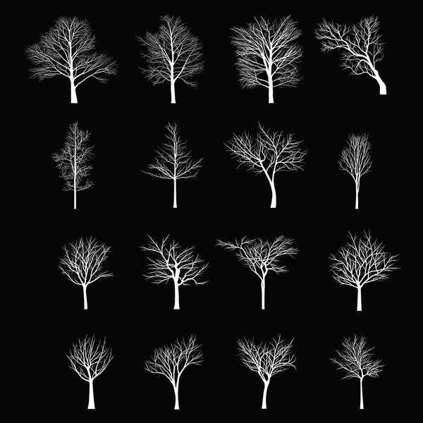 Ağaçları ile ölü şube