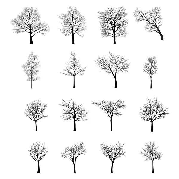 Trees with dead branch — Stock Vector