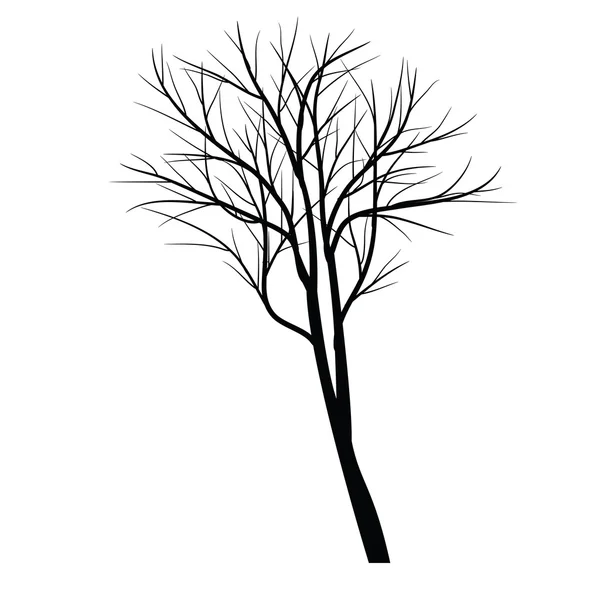 树的枯枝 — 图库矢量图片
