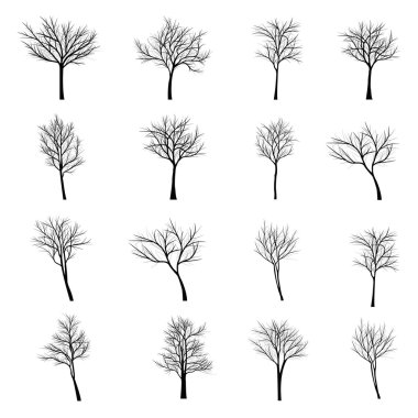 Ağaçları ile ölü şube