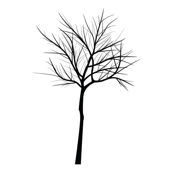 Trees with dead branch — Stock Vector