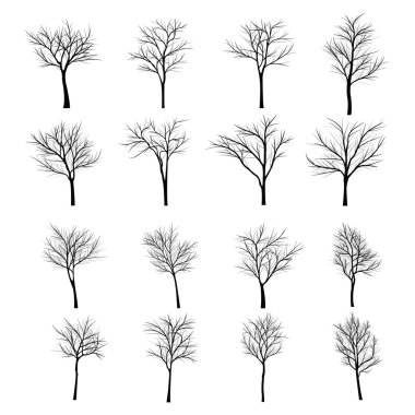 Ağaçları ile ölü şube