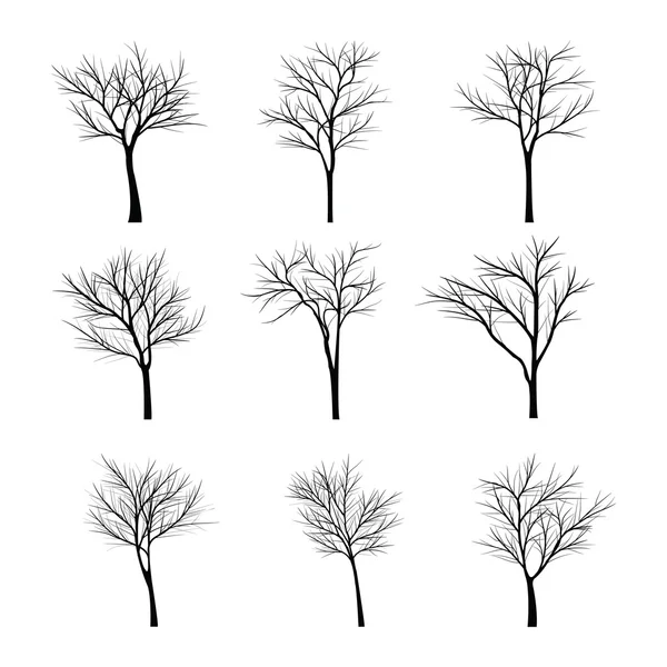 Ağaçları ile ölü şube