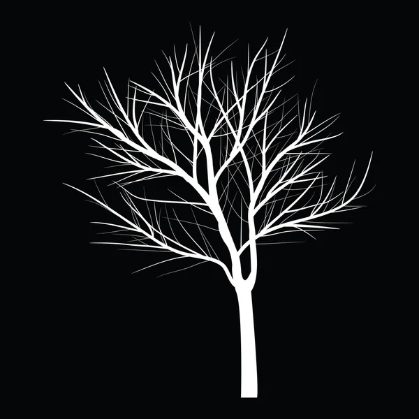 Ağaçları ile ölü şube