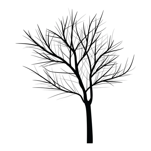 Arbres à branche morte — Image vectorielle