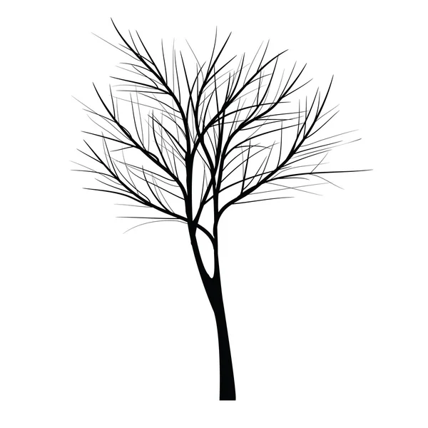 Trees with dead branch — Stock Vector