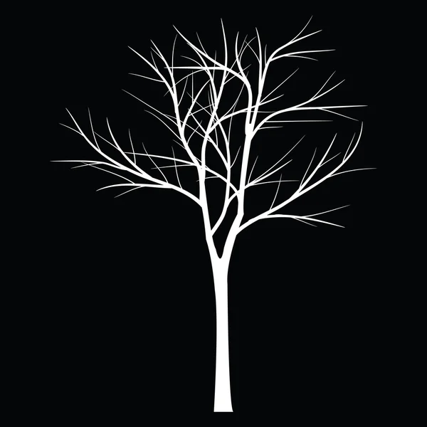 मृत शाखा झाडे — स्टॉक व्हेक्टर