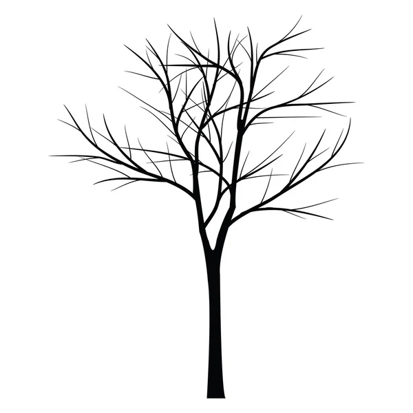 Trees with dead branch — Stock Vector